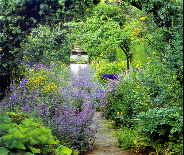 园林绿化图片-园林图 植物 花草 草木,园林,园林