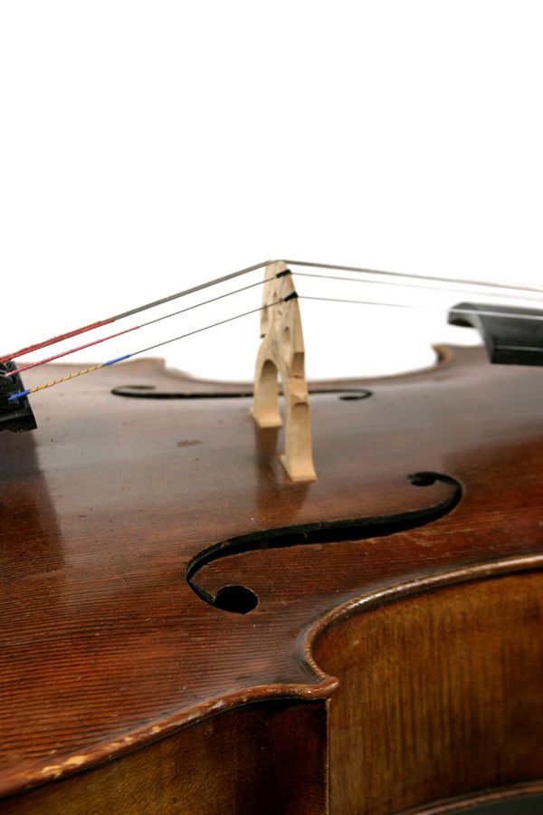 小提琴图片-艺术图 弦枕 拱起 拉紧,艺术类,小提琴