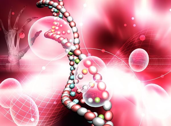 健康分层图片-电脑合成图 DNA 基因链 螺旋,电