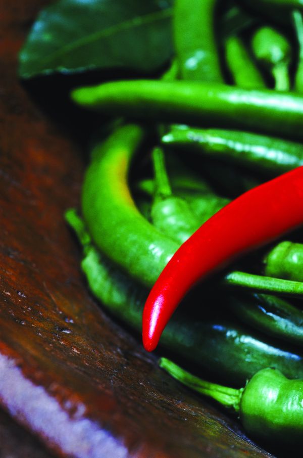 蔬果大全<em>图片</em>-饮食水果图 <em>辣椒</em> 湖南 <em>辣妹子</em>,饮