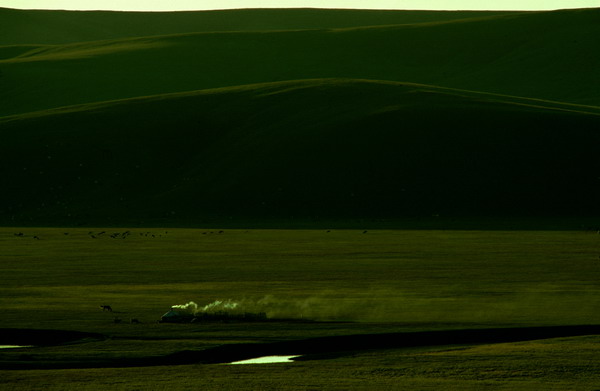 黄昏+草地+暗淡