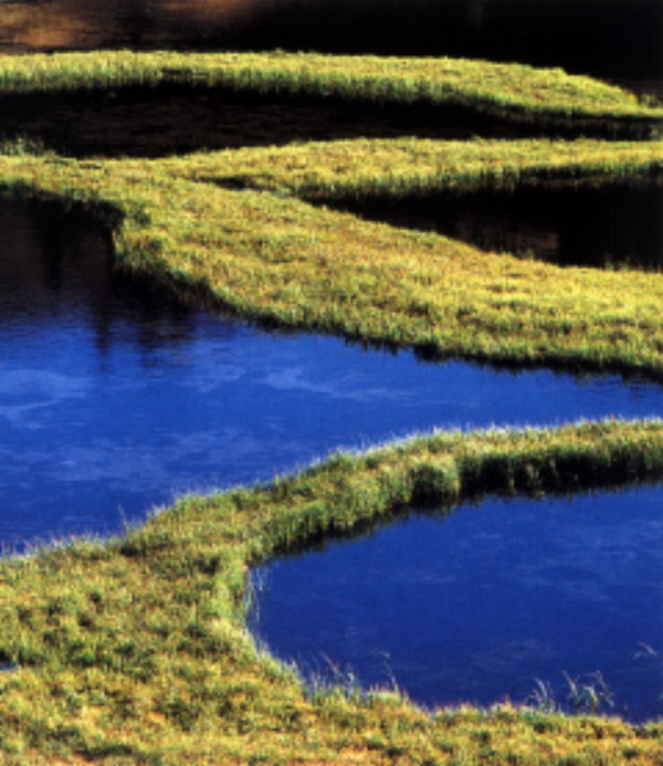 自然世界图片-自然风景图 蓝色水潭 田垄 交错