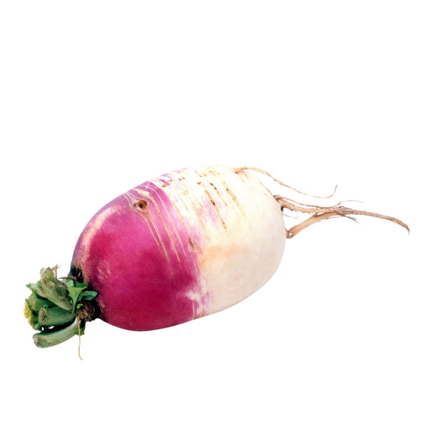 蔬菜与水果图片-生活百科图 紫色 萝卜头 清洁