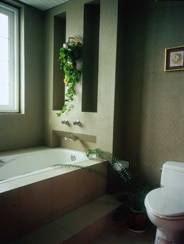 浴室图片-装饰图+浴池