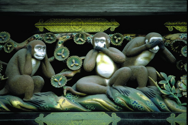 日本风情图片-世界风光图 猴子 群猴 搞怪 野性