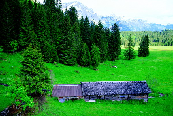 瑞士风情图片-世界风光图 农场 景色 树林,世界