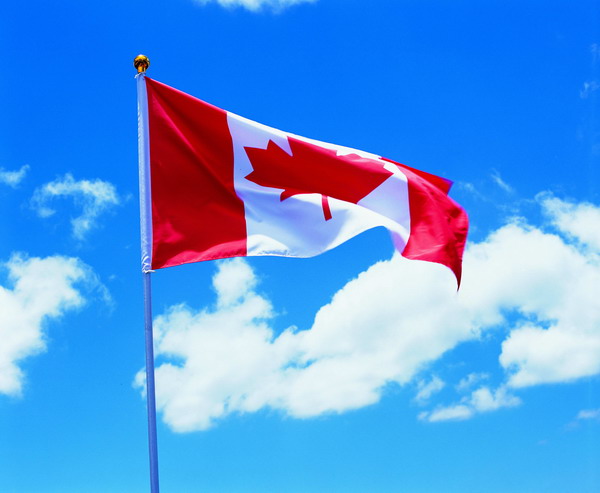 国旗与地区旗帜图片-综合图 加拿大 枫叶 红色 白色 飞舞,综合,世界国旗