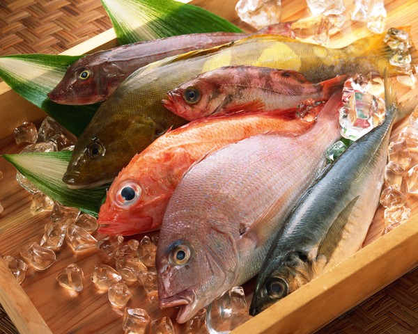清晰海鲜美食图片-饮食图 鱼 鱼类 海鲜 种类 品