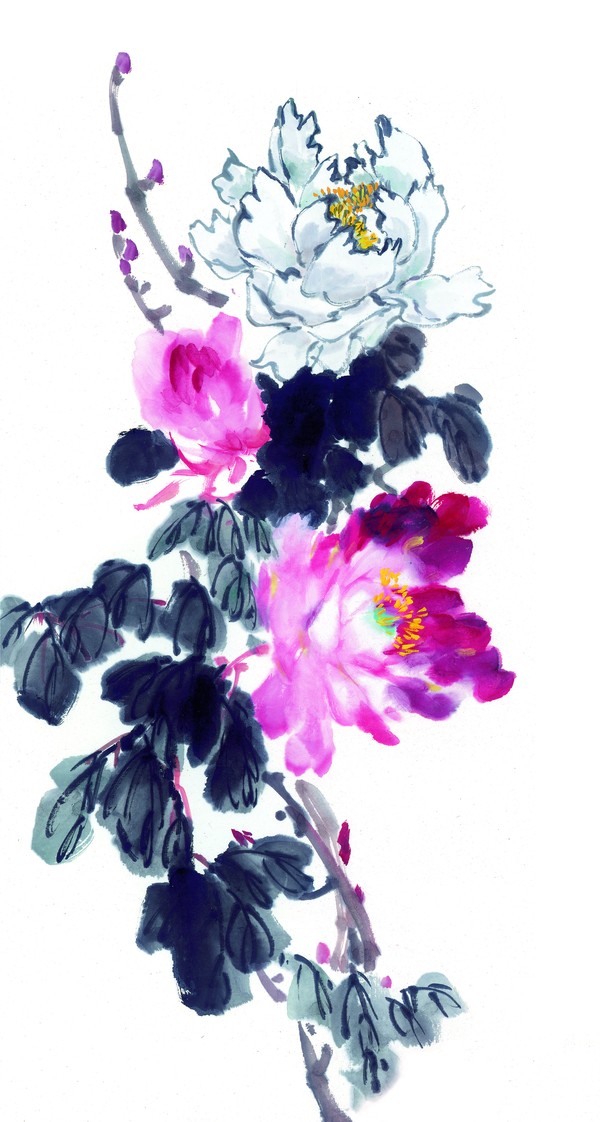 枝头飞乌图片-中国国画图 紫薇花,中国国画,枝