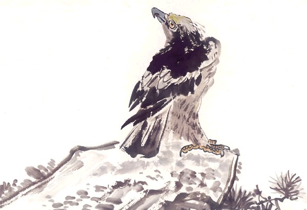 飞禽走兽图片-中国国画图 孤鹰 仰头 独立,中国国画,飞禽走兽