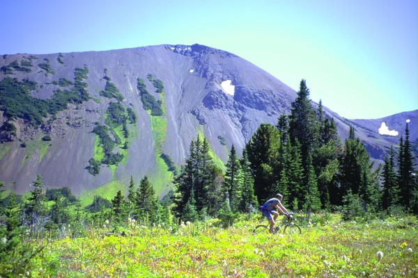 野外运动图片-运动图 野外 赛车 裸山,运动,野外