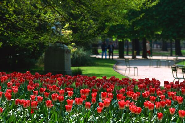 法国巴黎图片-世界风光图