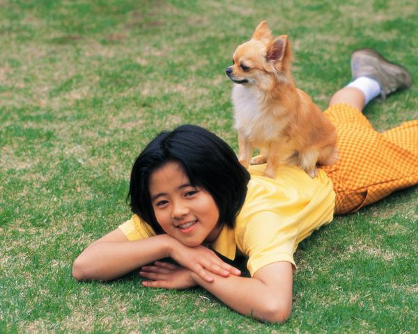 儿童宠物图片-动物图 足球场 小草 动物,动物,儿