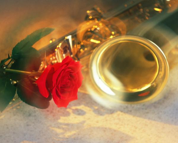 乐器世界图片-艺术图 乐器 红玫瑰 浪漫之夜 烛