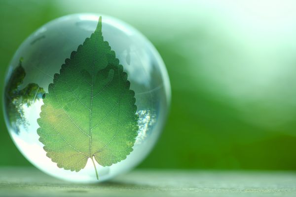 大自然生活图片-生活图 绿色 水晶球 透明 标本