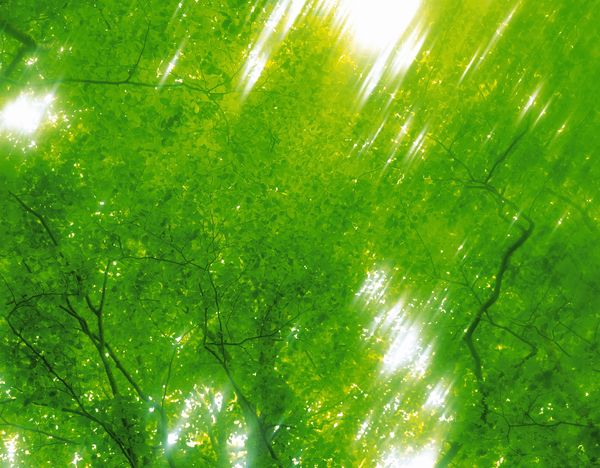 绿叶图片-风景系列图 图片处理 春天 山景,风景