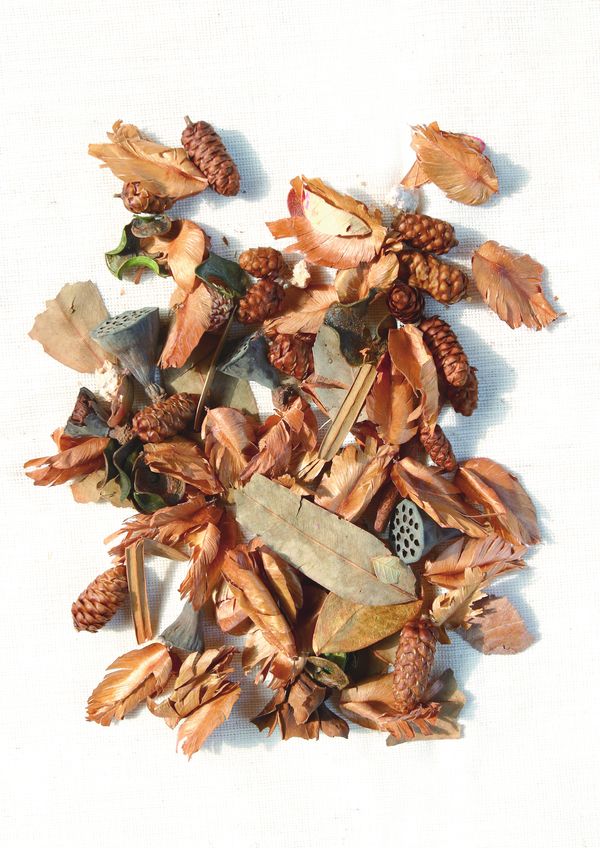 SPA物件图片-美容健身图 一堆干花 干枯 褪色