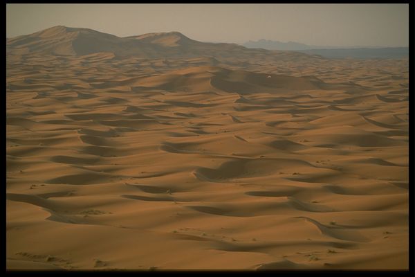 系列图+荒野+死气