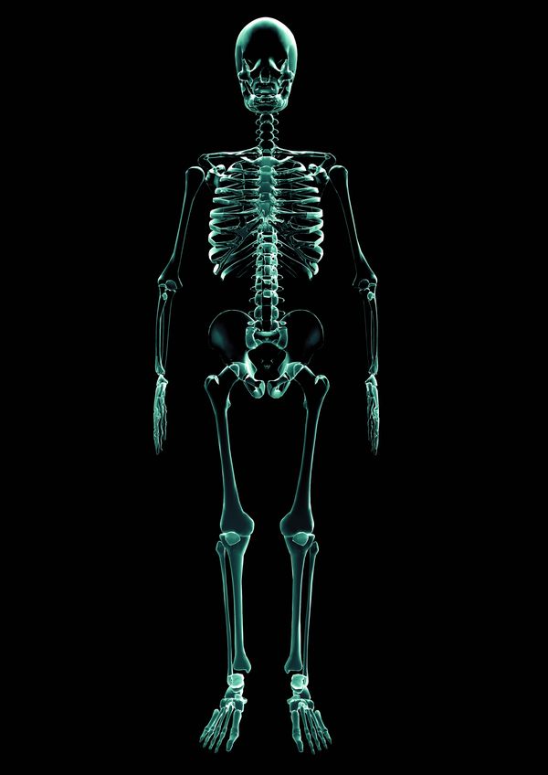 X光世界图片-未来科技图 骷髅 结构 人体 骨架 