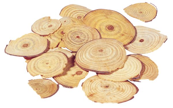 中国药材图片-综合图 当归 木片 晾干,综合,中国药材